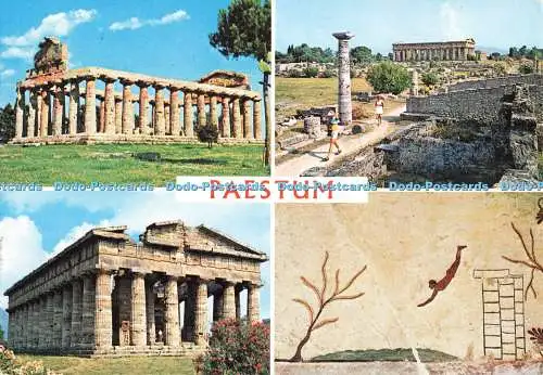 D269481 Paestum Carcavallo Vincenzo Multi View