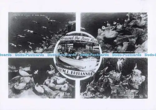D274598 Around the Bass Rock in M L Britannia Multi View