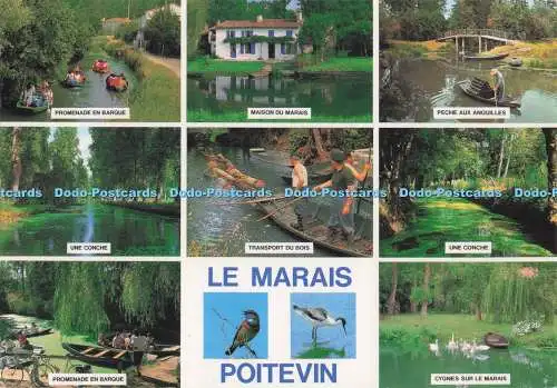 D274613 Le Marais Poitevin Une Conche Transport du Bois Une Conche Maison du Mar