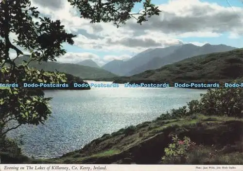 D274690 Irland Grafschaft Kerry Abend an den Seen von Killarney John Hinde Ltd Joan W