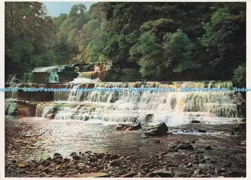 D274786 Yorkshire Swaledale Keld Catrake Falls Walter Scott Farbserie