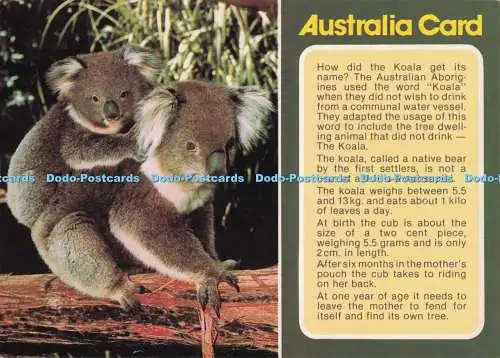 D274799 Australien Karte Koala Bartel Photography Ltd