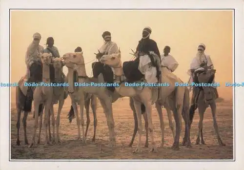 D274973 Niger West- und Südafrika The Salt Cure MCMXCII Edito Services Mich