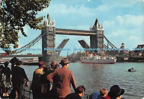 D274978 London Tower Bridge A V Fry and Co Ltd John Trimboli