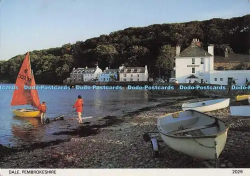 D274985 Dale Pembrokeshire Pembrokeshire Eye Postkarten