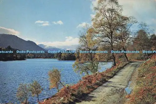 D275001 Inverness Shire Glen Affric Loch Beneveian J Arthur Dixon Ltd