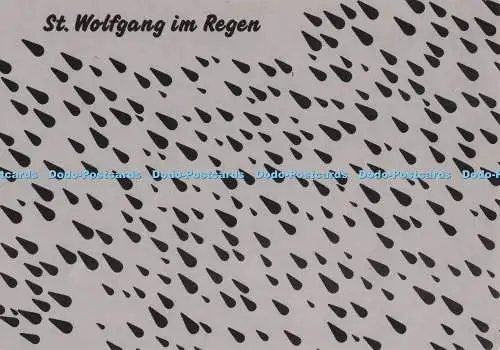 D275007 St Wolfgang im Regen auch das muss es geben Schones Österreich