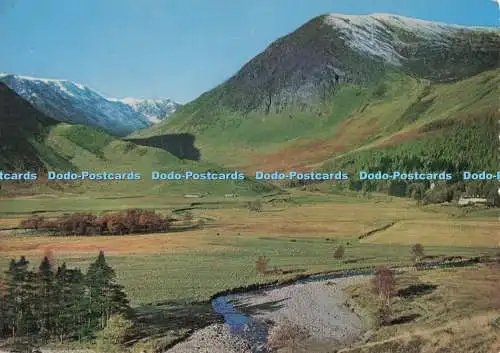 D275012 Angus Glendoll an der Spitze von Glen Clova Valentine and Sons Ltd Scots Pi