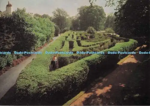 D275099 London Hampton Court Palace The Maze Campfield Press Crown 1968