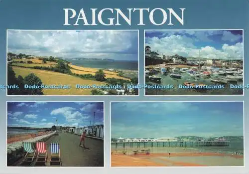 D275114 Devon Ansichten um Paignton keltische Szene Claire Sellick mehrere Ansichten