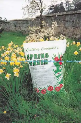D275120 Frühlingsgrün der einzigartige Frühlingsgarten Dressing Schneidekompost Ltd