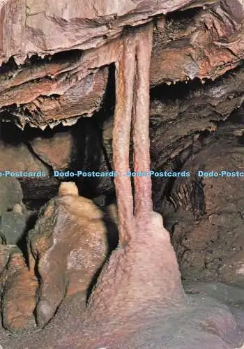 D275462 Die Zwillingsstumpfkreuzhöhlen, die sich eine gemeinsame Stalagmat teilen