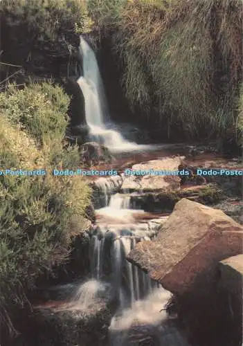 D275488 Yorkshire Haworth Moot The Bronte Falls Walter Scott Farbserie