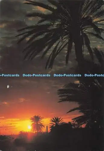 D275738 Unknown City Sunset Mirage