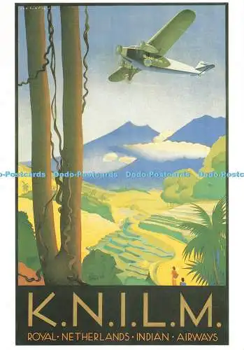 D275861 Vliegtuig Boven Sawahs Royal Netherland Indian Airways K N I L M Art Unl