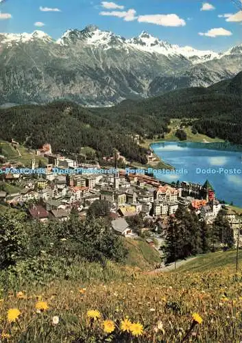D269962 St Moritz Blick Gegen Piz Languard Engadin Pressefoto Max