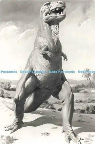 D276326 Tyrannosaurus gefunden in Nordamerika und Mongolei British Museum