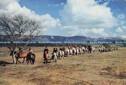 D276345 Newtonmore Pony Trekker kommen von den Cairngorms herunter J Arthur Dixon