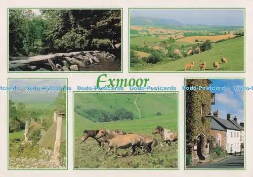 D276350 Exmoor Porlock Vale Dunster Exmoor Ponys Selworthy J Arthur Dixon Ltd M
