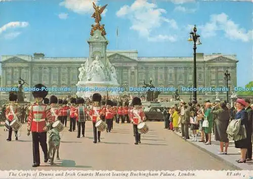 D276427 London Das Korps der Trommeln und der irischen Garde Maskottchen verlässt Buckingham Pal