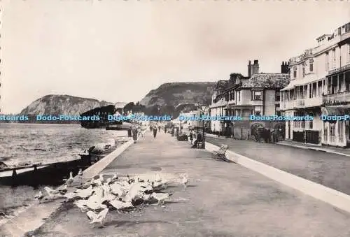 D276430 Sidmouth Feeding the Gulls Valentine RP 1955