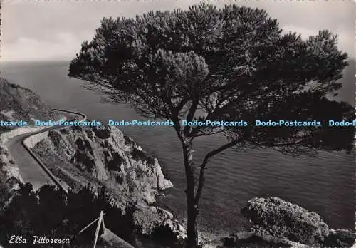 D276436 Elba Pittoresca A Tesei RP 1955