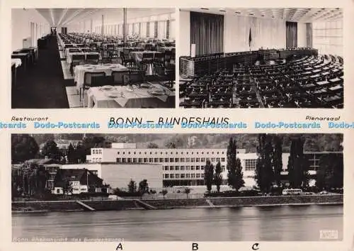 D276449 Bonn Bundeshaus Restaurant Plenarsaal Jos Kessel Nr 1088 Mehrfachansicht 1952