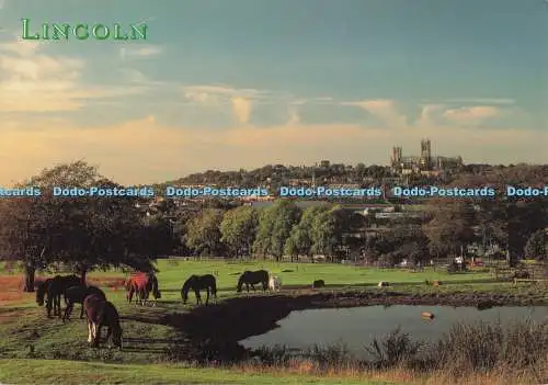 D276542 Lincoln Blick von South Common Judges C 17247 Lincolnshire County Counci