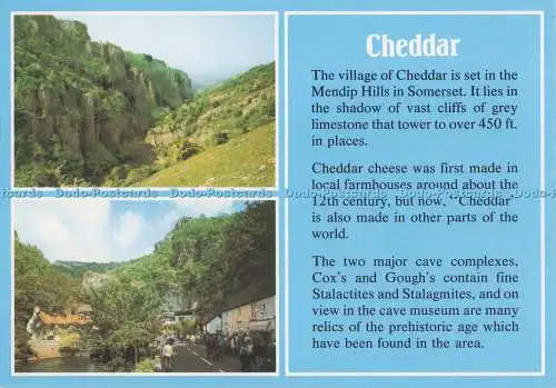 D276543 Cheddar Gorge Somerset Cheddar Village J Arthur Dixon