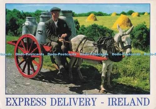 D276548 Irland Express Lieferung John Hinde Irland Menschen und Orte