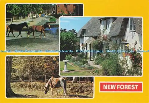 D276549 New Forest New Forest Ponys E T W Dennis Multi View