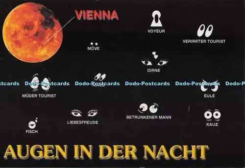 D276674 Augen In Der Nacht Risch Lau