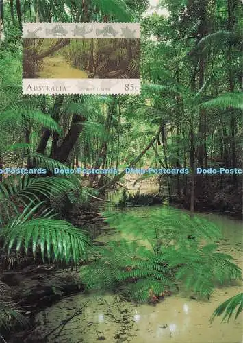 D279028 Queensland Fraser Island Australian Picture Library Andrew Gregory 1996