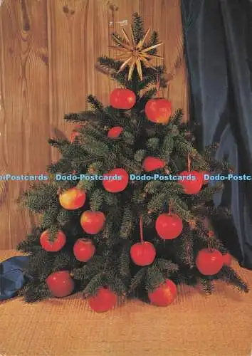 D281415 Frohe Weihnachten Weihnachtsbaum mit Äpfeln Kepzomuveszeti Alp Kiadovalla