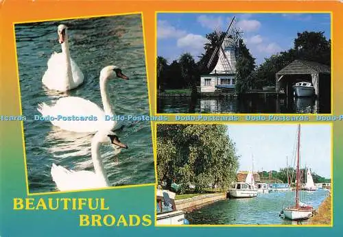 D281418 Schöne Broads Schwäne Windmühle Pier Fisa I G Multi View
