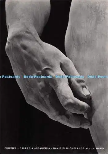 D279036 Firenze Galleria Accademia David di Michelangelo La Mano Giusti di Becoc