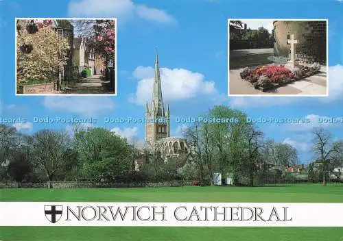 D281419 Norwich Cathedral Cathedral Close Edith Cavell Grave Jarrold and Sons Lt