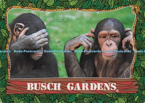 D276839 Florida Tampa Busch Gardens Impact Richard Stack 1997