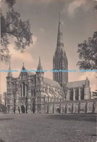 D279044 Postkarte Kathedrale von Salisbury