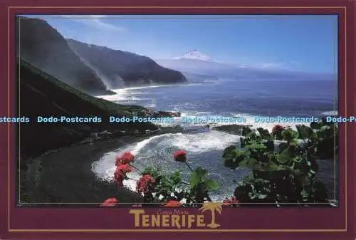 D285966 Teneriffa Costa Norte SOFOTO S L J Martinez