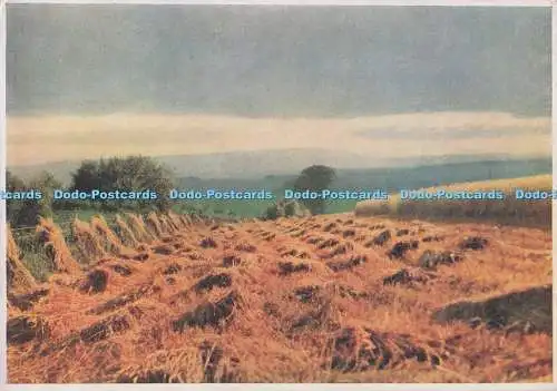 D276880 Schottland Sonnenuntergang auf Erntefeld bei Stirling The Medici Society
