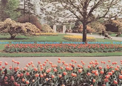 D276883 Kew Royal Botanic Gardens Frühlingsbeet von Tulpen nahe der Krone des Haupttors