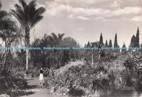 D281499 Salisbury The Gardens Art Publishers Ltd 1953