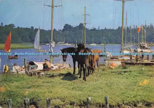 D286034 Bucklers Hard Now Busy With Yachten and Tourists J Arthur Dixon England