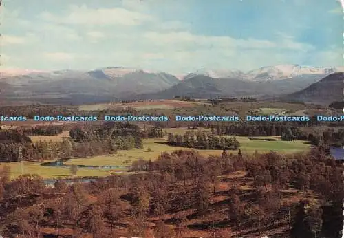 D279116 Inverness Shire Aviemore Rothiemurchus Forest Valentine Scots Bild