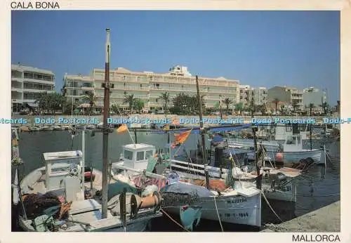 D276925 Mallorca Cala Bona Repreco C B CYP
