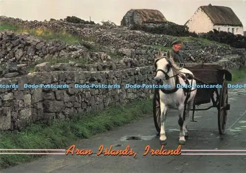 D286050 Irland Aran Islands John Hinde Dublin Ron Sanford