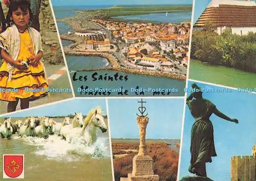D286051 Les Saintes Maries de la Mer S L Multi View
