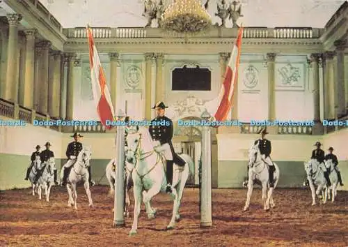 D286052 Wien Spanische Reitschule Schulquadrille Diagonale Starker Trab