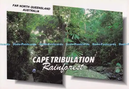 D279133 Far North Queensland Australia Cape Tribulation Rainforest Murray Views